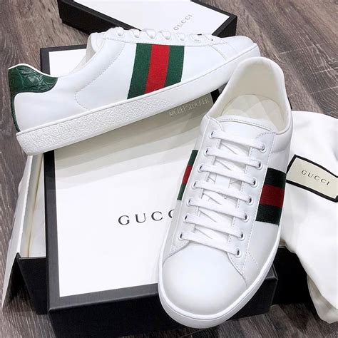 zapatillas gucci ace hombre|zapatillas superstar Gucci.